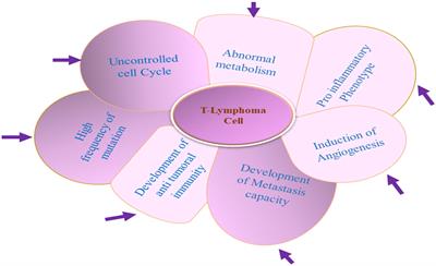 Role of cytokine in malignant T-cell metabolism and subsequent alternation in T-cell tumor microenvironment